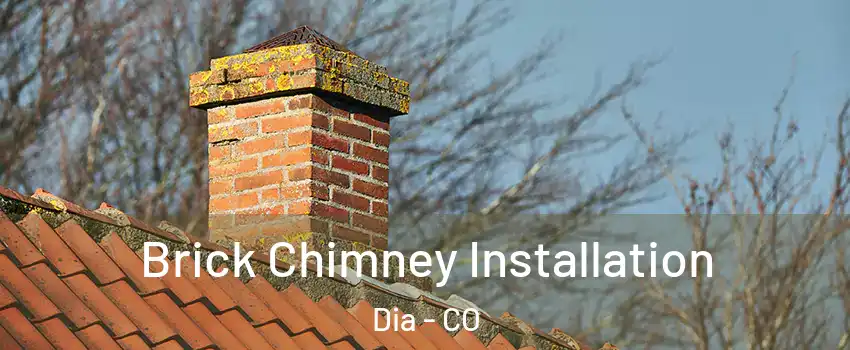 Brick Chimney Installation Dia - CO