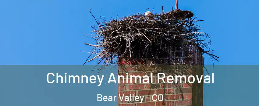 Chimney Animal Removal Bear Valley - CO
