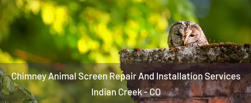 Chimney Animal Screen Repair And Installation Services Indian Creek - CO