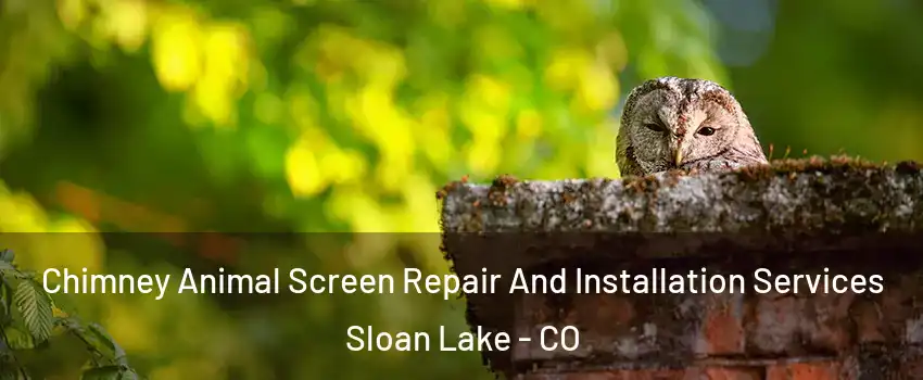 Chimney Animal Screen Repair And Installation Services Sloan Lake - CO
