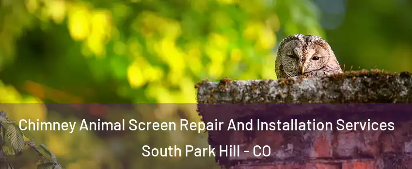 Chimney Animal Screen Repair And Installation Services South Park Hill - CO