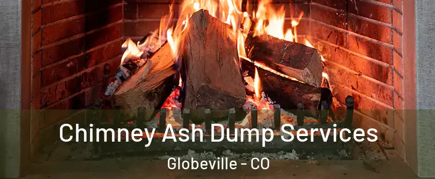 Chimney Ash Dump Services Globeville - CO