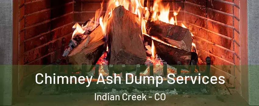 Chimney Ash Dump Services Indian Creek - CO