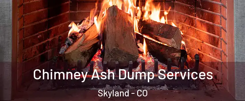 Chimney Ash Dump Services Skyland - CO