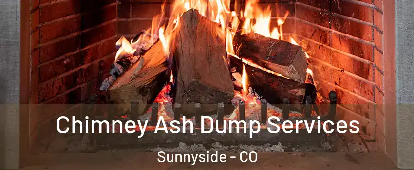 Chimney Ash Dump Services Sunnyside - CO