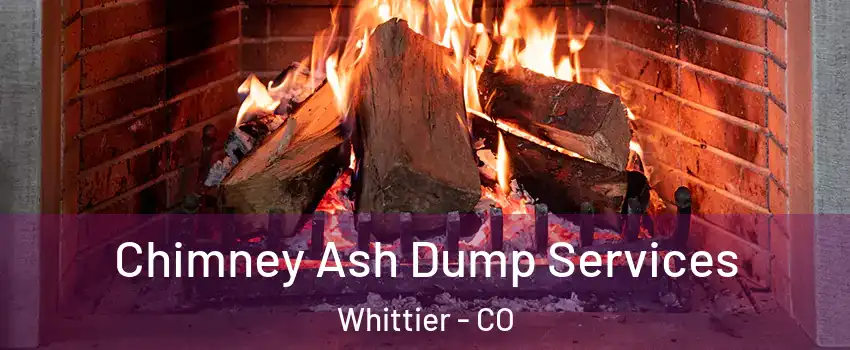 Chimney Ash Dump Services Whittier - CO