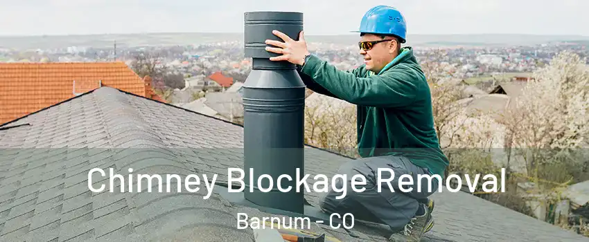 Chimney Blockage Removal Barnum - CO