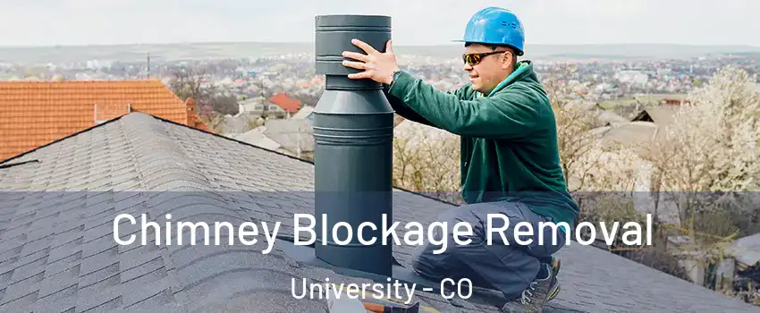 Chimney Blockage Removal University - CO