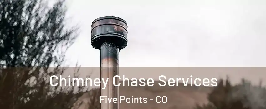 Chimney Chase Services Five Points - CO