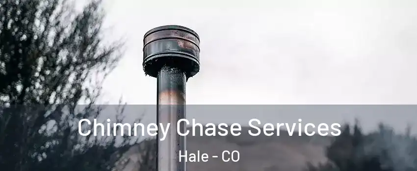 Chimney Chase Services Hale - CO