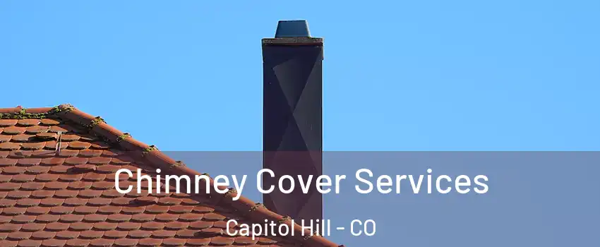 Chimney Cover Services Capitol Hill - CO