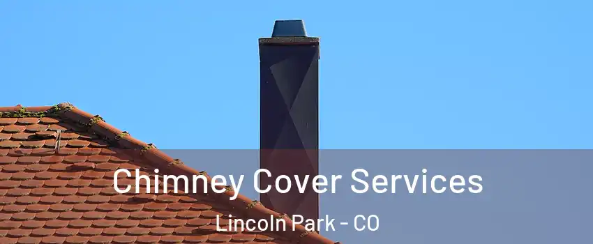 Chimney Cover Services Lincoln Park - CO