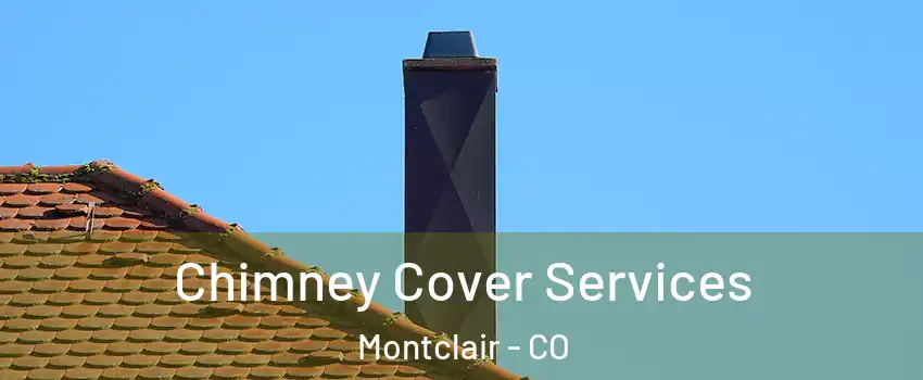 Chimney Cover Services Montclair - CO