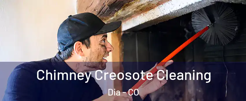 Chimney Creosote Cleaning Dia - CO
