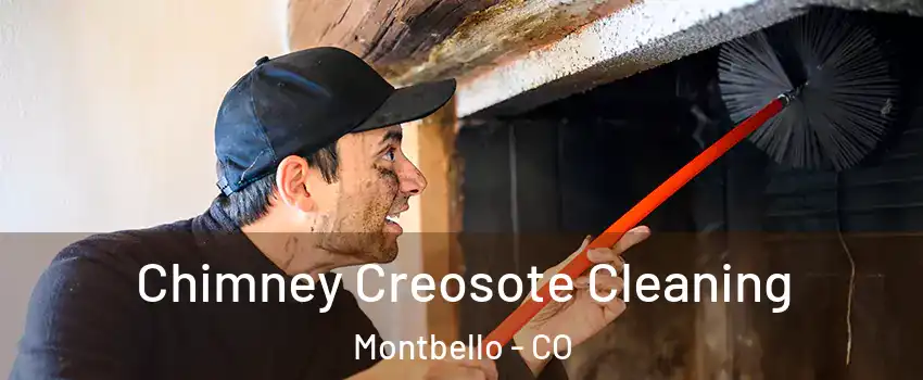 Chimney Creosote Cleaning Montbello - CO