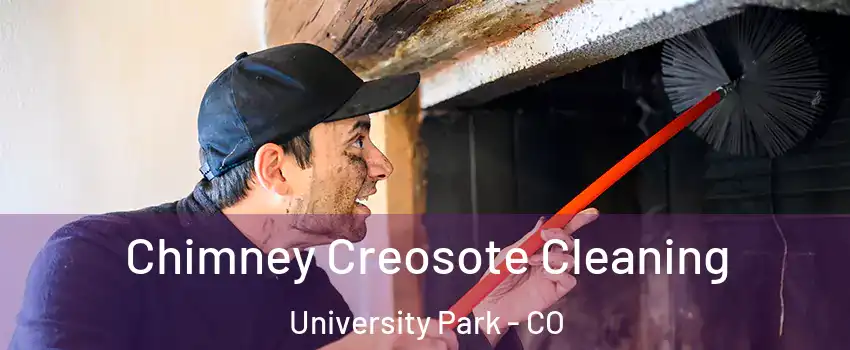 Chimney Creosote Cleaning University Park - CO