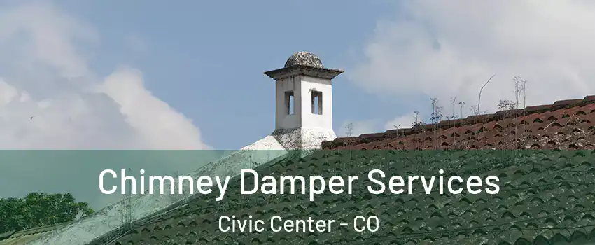 Chimney Damper Services Civic Center - CO