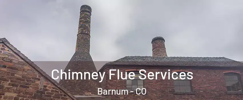 Chimney Flue Services Barnum - CO