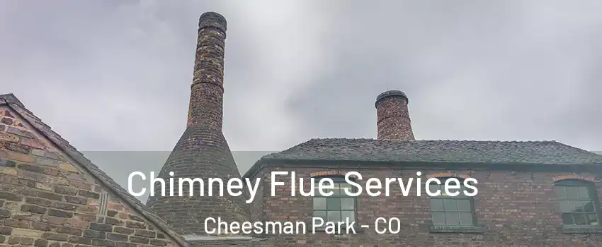 Chimney Flue Services Cheesman Park - CO