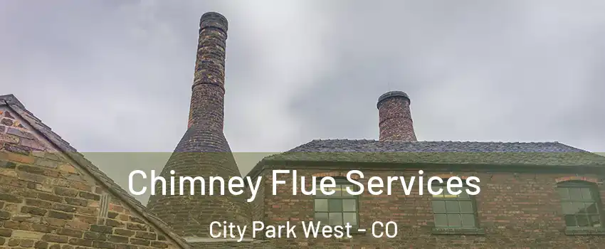 Chimney Flue Services City Park West - CO