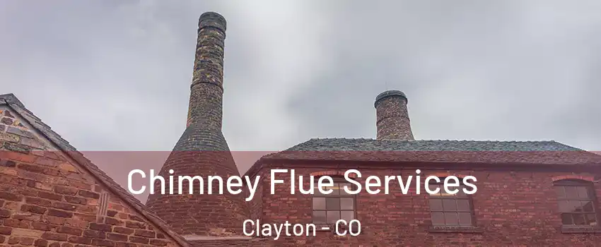 Chimney Flue Services Clayton - CO