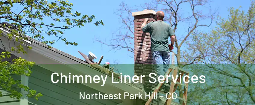Chimney Liner Services Northeast Park Hill - CO