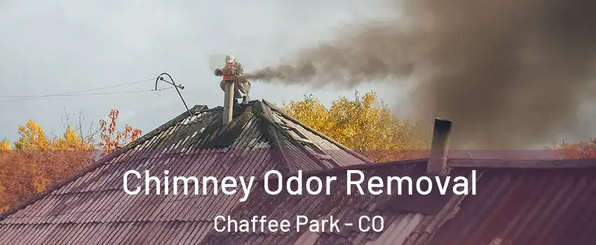 Chimney Odor Removal Chaffee Park - CO