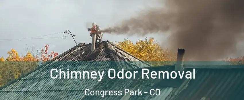 Chimney Odor Removal Congress Park - CO