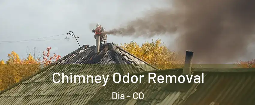 Chimney Odor Removal Dia - CO