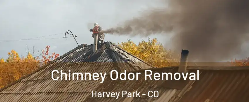 Chimney Odor Removal Harvey Park - CO