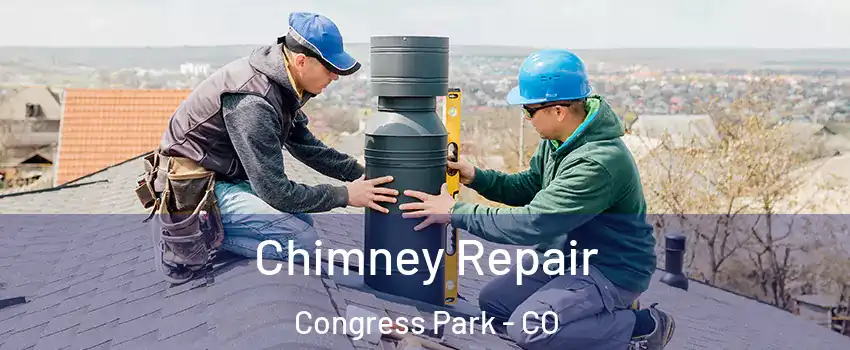 Chimney Repair Congress Park - CO