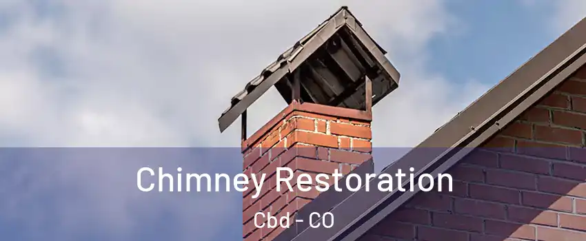 Chimney Restoration Cbd - CO
