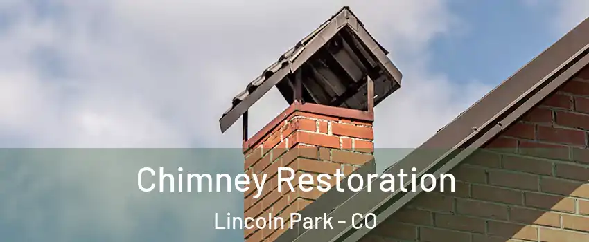 Chimney Restoration Lincoln Park - CO