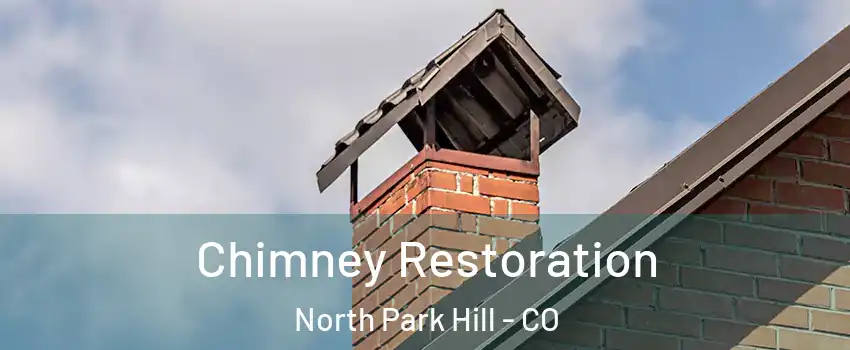 Chimney Restoration North Park Hill - CO