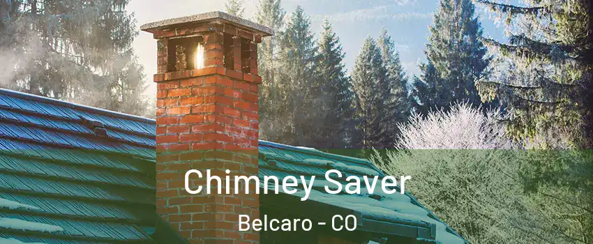 Chimney Saver Belcaro - CO
