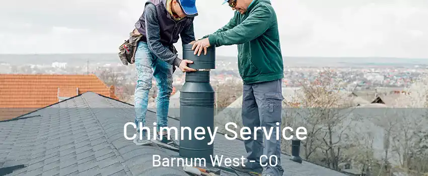 Chimney Service Barnum West - CO