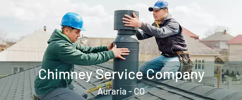 Chimney Service Company Auraria - CO