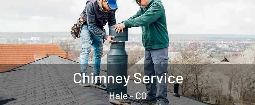 Chimney Service Hale - CO