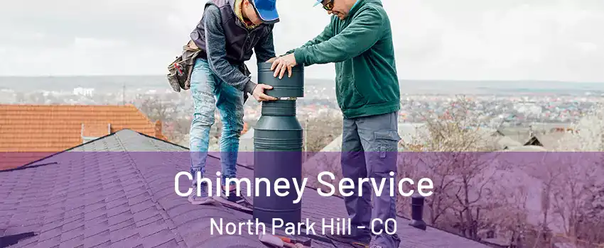 Chimney Service North Park Hill - CO