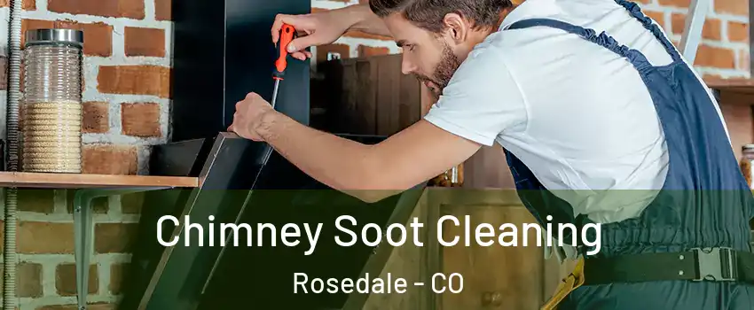 Chimney Soot Cleaning Rosedale - CO