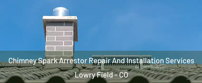 Chimney Spark Arrestor Repair And Installation Services Lowry Field - CO