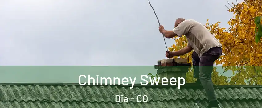 Chimney Sweep Dia - CO