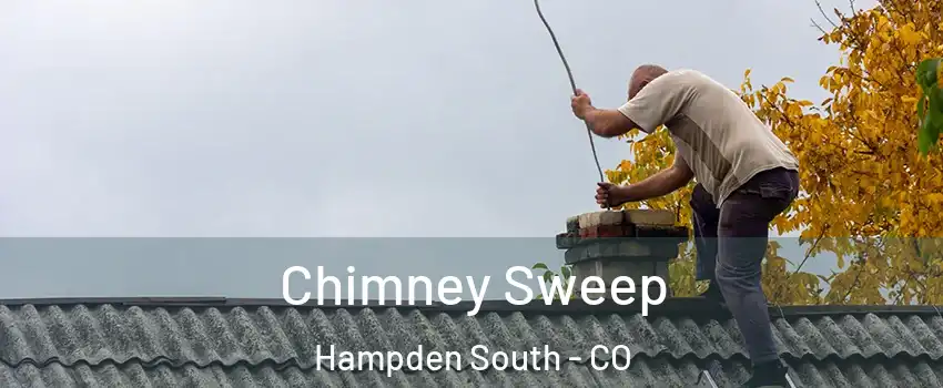 Chimney Sweep Hampden South - CO