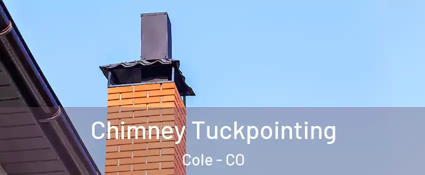 Chimney Tuckpointing Cole - CO