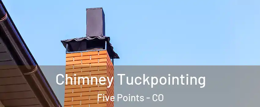 Chimney Tuckpointing Five Points - CO