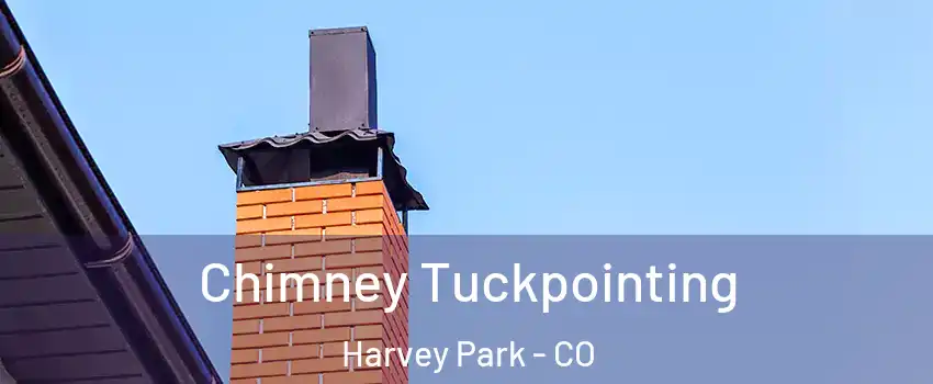 Chimney Tuckpointing Harvey Park - CO