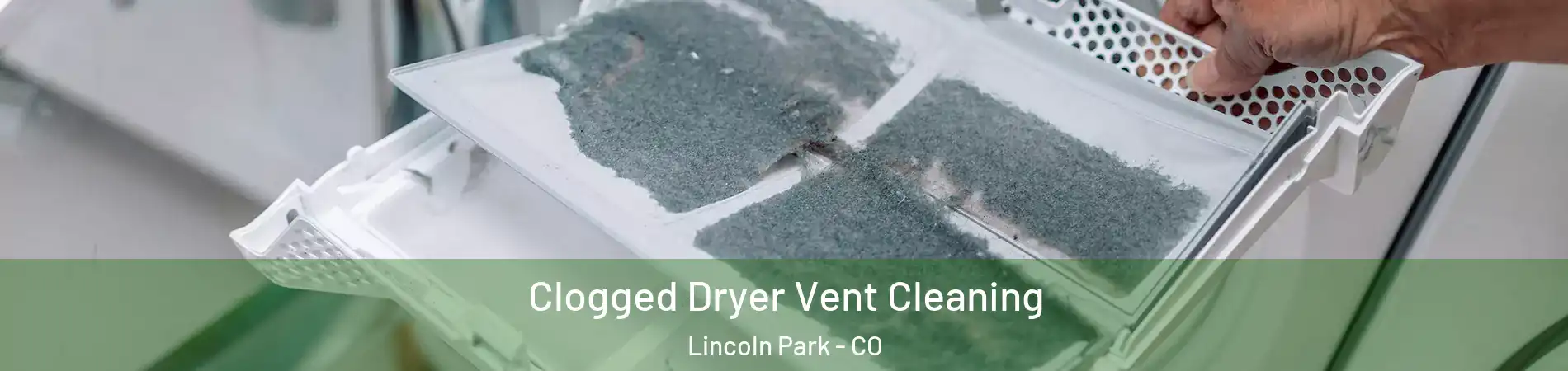 Clogged Dryer Vent Cleaning Lincoln Park - CO