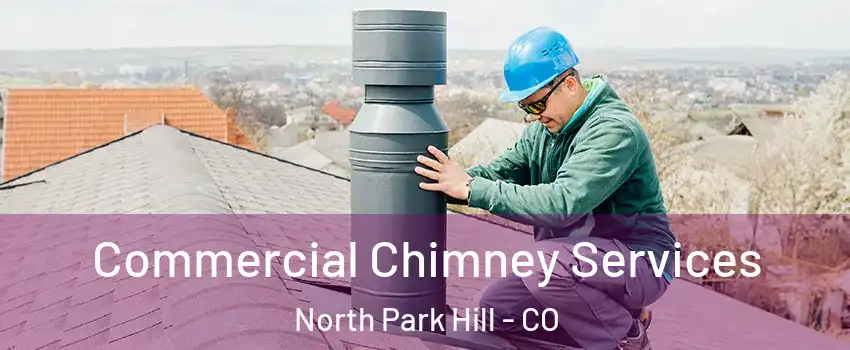 Commercial Chimney Services North Park Hill - CO