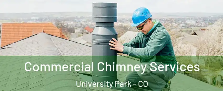 Commercial Chimney Services University Park - CO