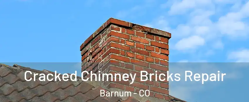 Cracked Chimney Bricks Repair Barnum - CO